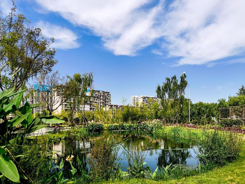 【經(jīng)典案例】日照市瀉湖入湖口人工濕地水質(zhì)凈化項目（大型湖泊內(nèi)源污染治理